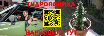 трава Будённовск